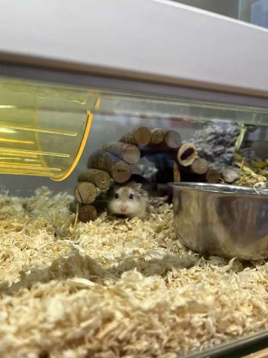 Pets at Home Leeds Kirkstall Picture 5