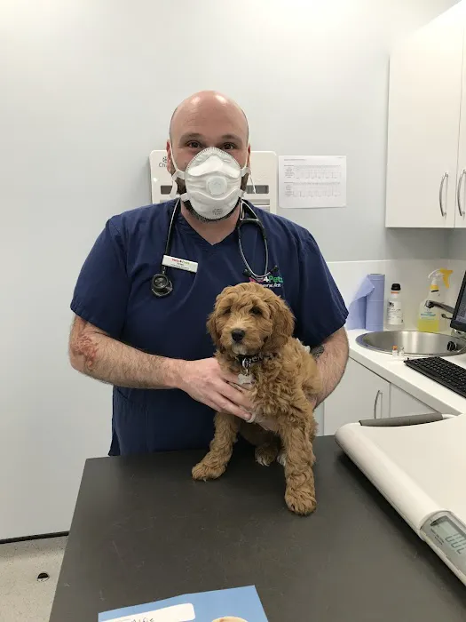 Vets for Pets - Blackburn Picture 6