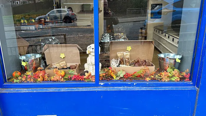 Bark to basics Ltd Picture 6