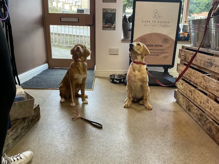 Bark to basics Ltd Picture 3