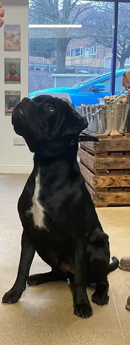 Bark to basics Ltd Picture 9