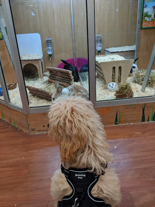 Pets at Home Meanwood Picture 5