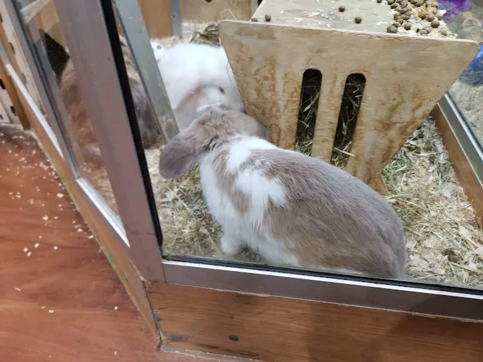 Pets at Home Meanwood Picture 8