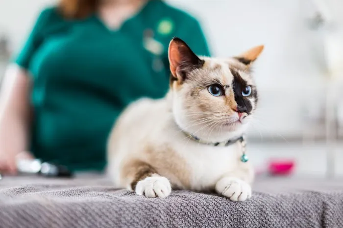 Myerscough Veterinary Group Blackburn Picture 4
