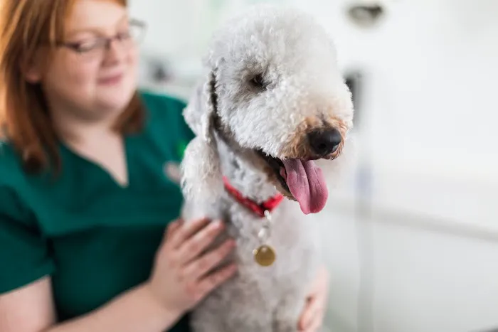 Myerscough Veterinary Group Blackburn Picture 6