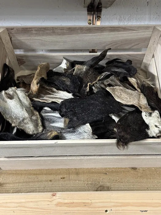 BARK CENTRAL Pet Shop Picture 2