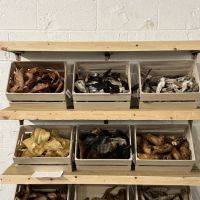 BARK CENTRAL Pet Shop ico