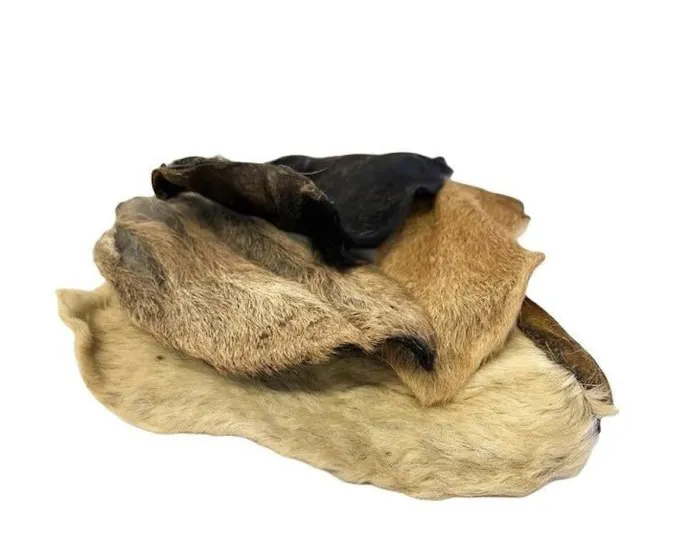 BARK CENTRAL Pet Shop Picture 4