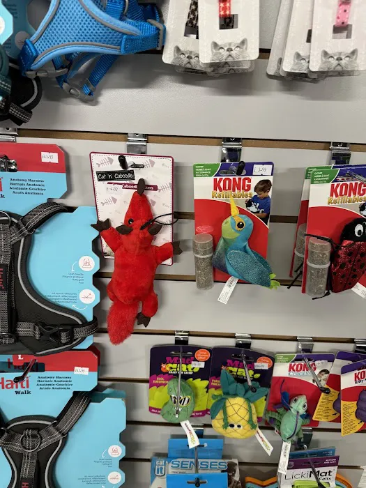 BARK CENTRAL Pet Shop Picture 6