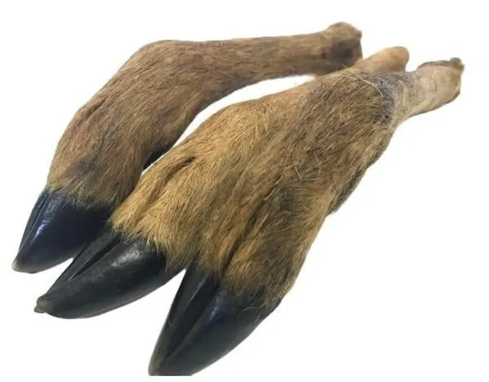 BARK CENTRAL Pet Shop Picture 9