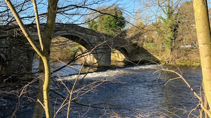 Tyler-James Pet Supplies Limited Picture 4