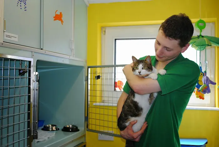 Daisy Street Veterinary Centre Picture 8