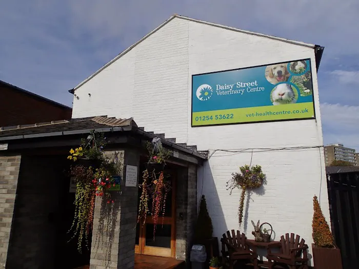 Daisy Street Veterinary Centre Picture 10