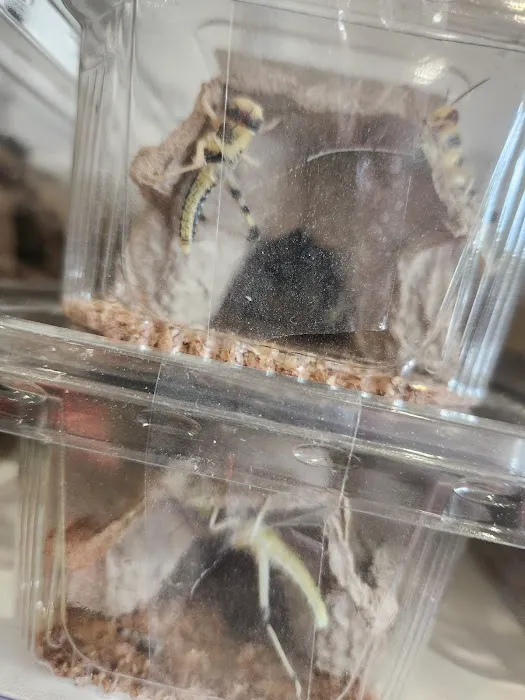 TJ’s Pet Supplies Picture 4