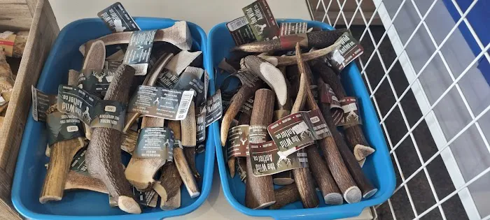 TJ’s Pet Supplies Picture 7