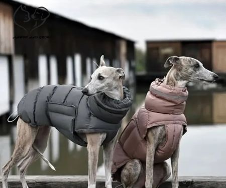 YorkshirePetShop. Com