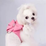 Branded paw's