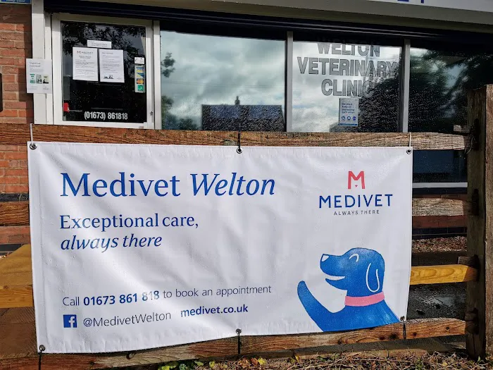 Medivet Welton Picture 5