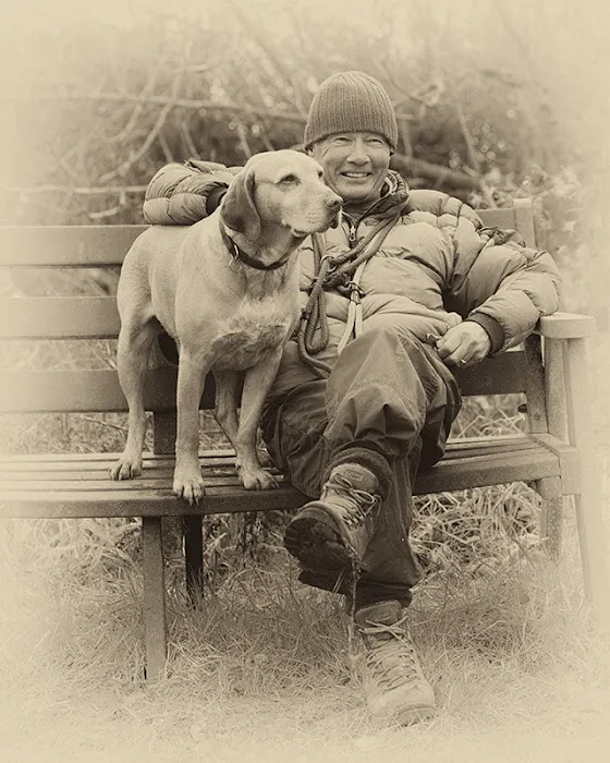 Medivet Welton Picture 7