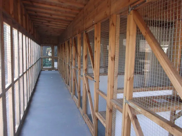 Mellows Cattery Picture 2