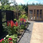 Mellows Cattery