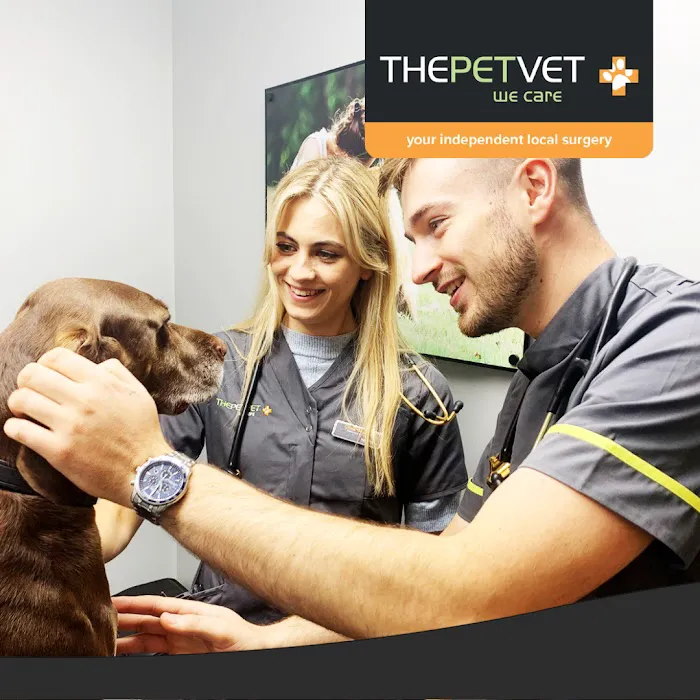 The Pet Vet - Lincoln Picture 3