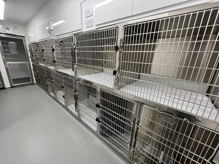 The Pet Vet - Lincoln Picture 4