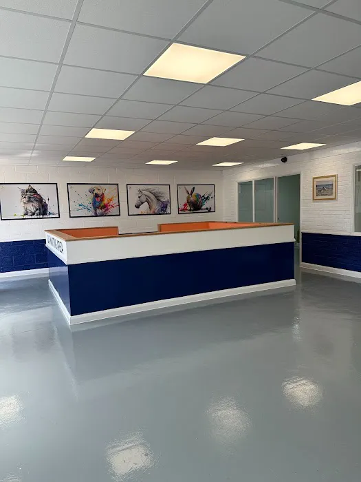 Pegasus Vets Picture 4