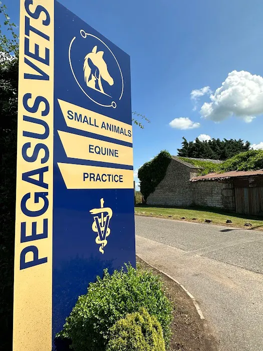 Pegasus Vets Picture 3