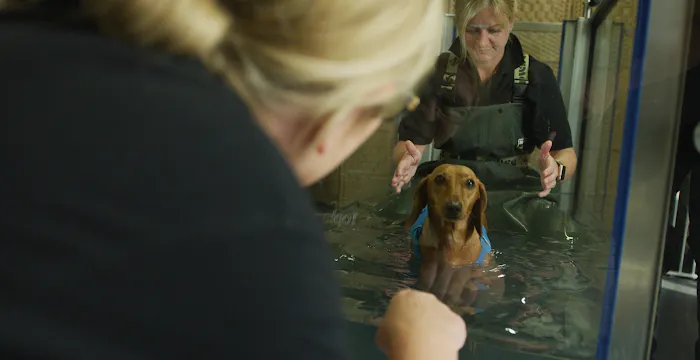 Topline Hydrotherapy Picture 2