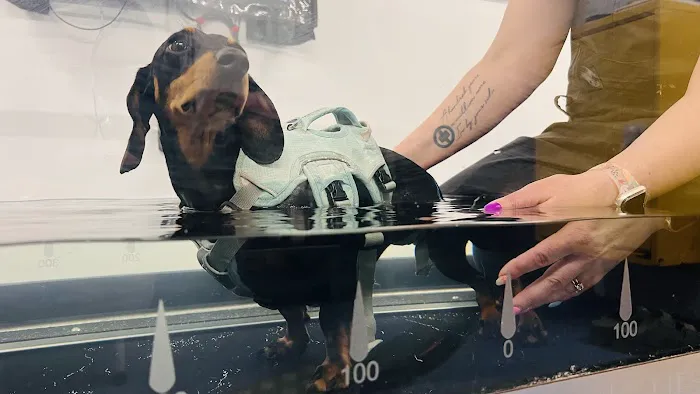 Topline Hydrotherapy Picture 1
