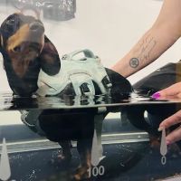 Topline Hydrotherapy ico