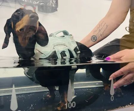 Topline Hydrotherapy