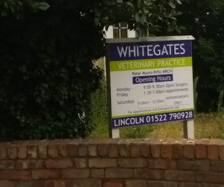 Medivet Washingborough