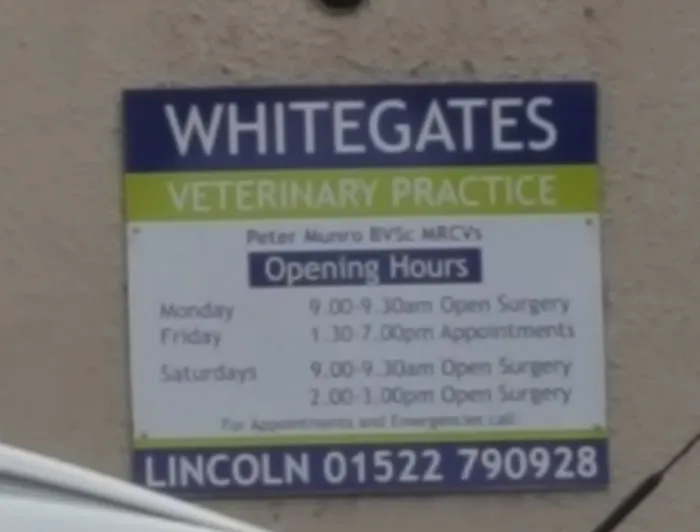 Medivet Washingborough Picture 8