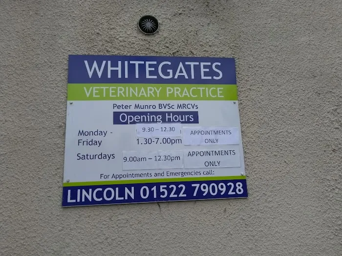 Medivet Washingborough Picture 10