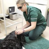 The Veterinary Hospital - Vets Lincoln ico
