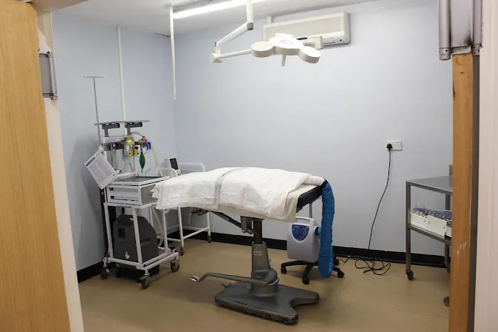 The Veterinary Hospital - Vets Lincoln Picture 6