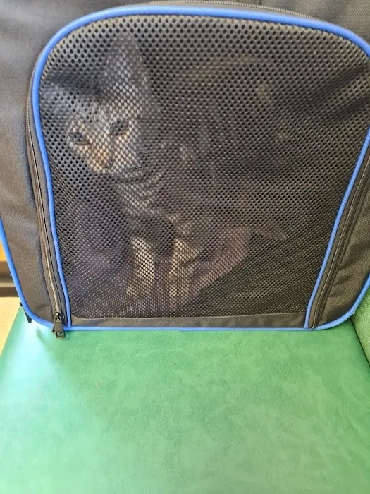The Veterinary Hospital - Vets Lincoln Picture 8