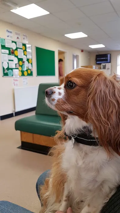The Veterinary Hospital - Vets Lincoln Picture 7