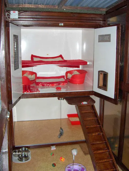 Gemima's Cattery Picture 1