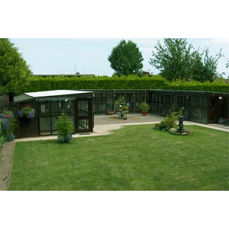 Gemima's Cattery Picture 6