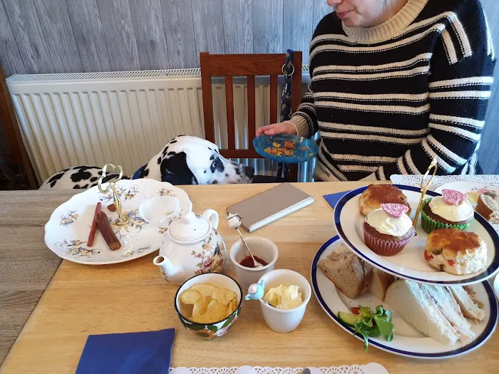 The Blue Whippet Picture 6