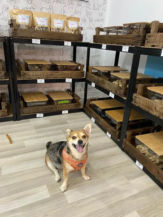 Lili + Mila's Empawrium Picture 3