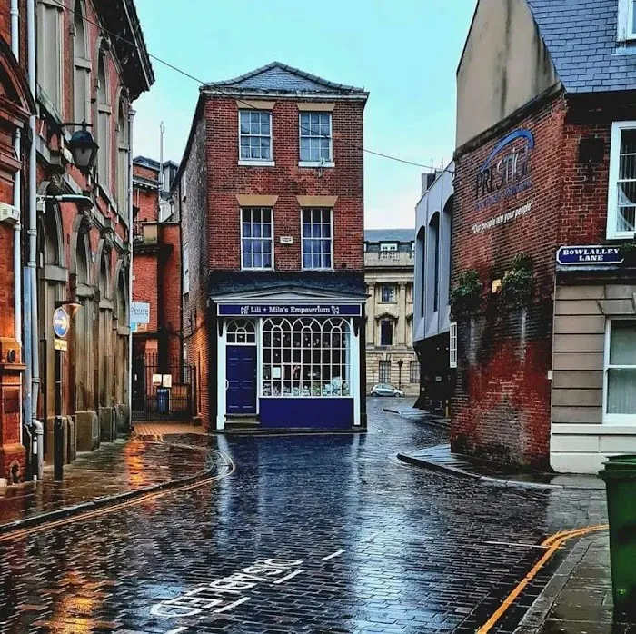 Lili + Mila's Empawrium Picture 1