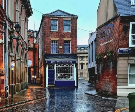 Lili + Mila's Empawrium