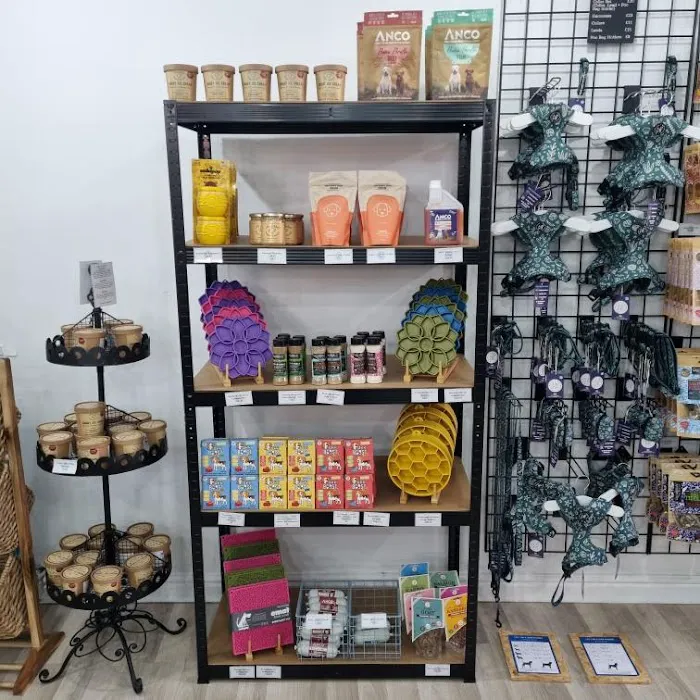 Lili + Mila's Empawrium Picture 4