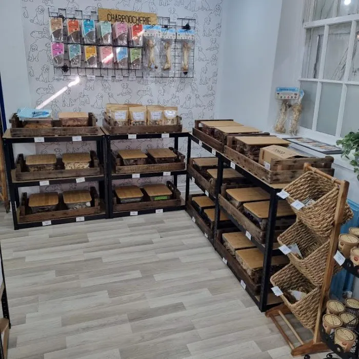 Lili + Mila's Empawrium Picture 10