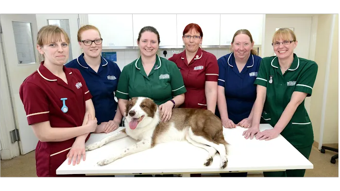 Raoul Dowding Vets, Gainsborough Picture 3
