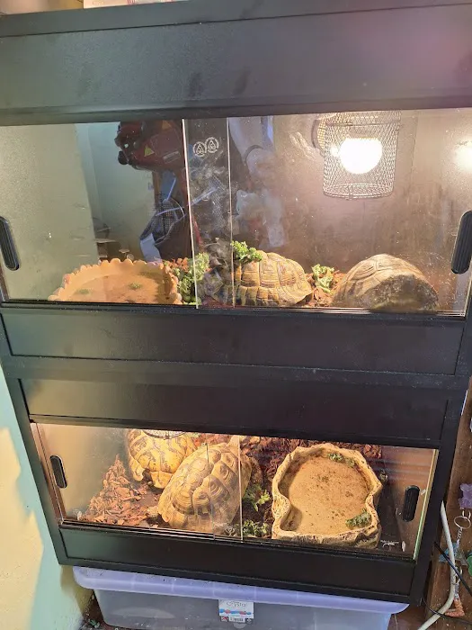 Repti-Life Picture 2